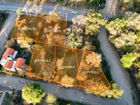 Terreno en Venta, FOT 40