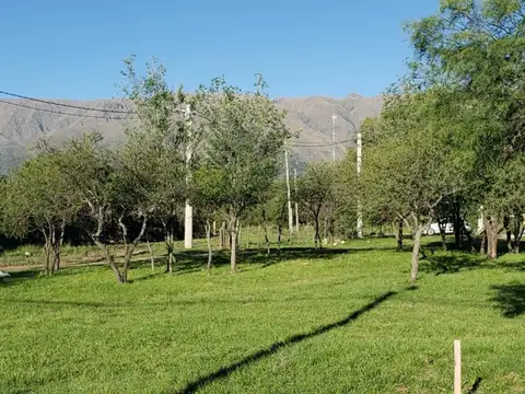 Venta Lote Centrico Merlo San Luis PRECIO LIMITADO