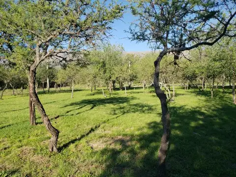 Terreno en Venta de 345,0 m2