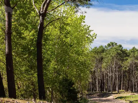 LOTES LAGUNA BARRIO SERENA