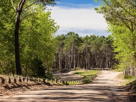 Ruta 11 Km  al 300