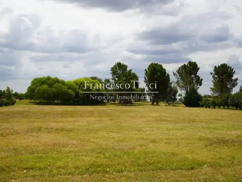 Terreno en venta lote central en Everlinks Country Club