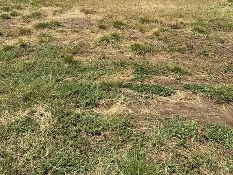Terreno en Venta en Countries y Barrios Cerrados en Pilar, USD 175.000