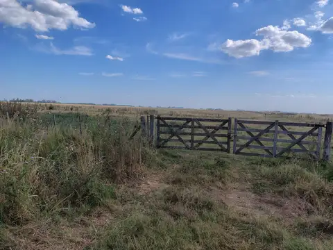 Campo en venta en Carmen De Areco
