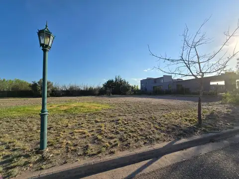 Terreno en Venta en Lujan de Cuyo, Luján de Cuyo