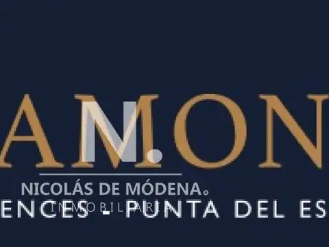 Invierta en Punta del Este con financiacion. Proyecto Diamond.