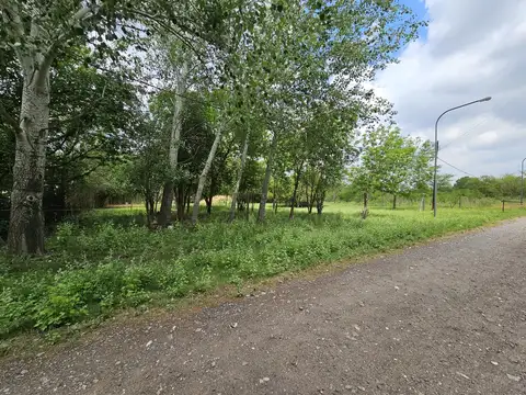 Terreno en Venta 50  mts Fondo