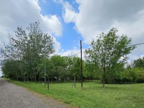 Pacto Federal al 9300