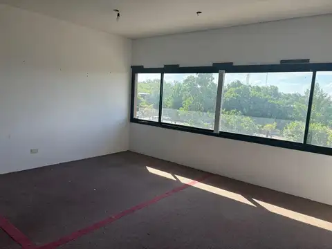 Independencia al 300