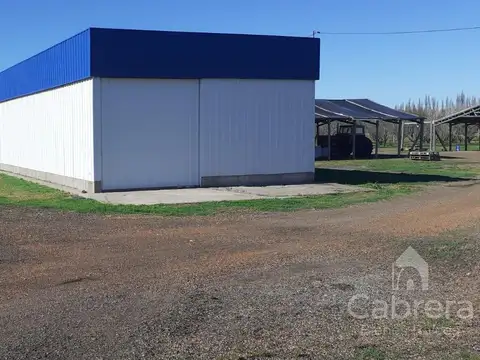 Fraccion de 55 Has. en Caleu Caleu La Pampa sobre Rio Colorado