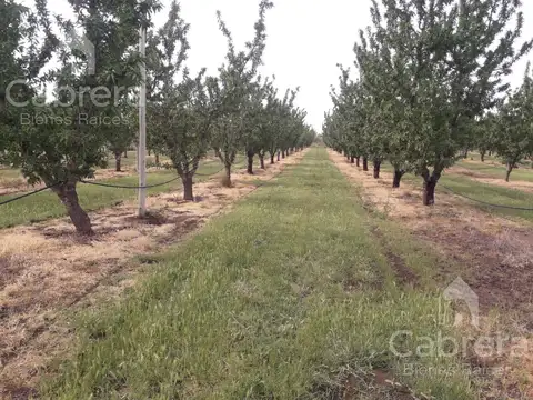 Departamento de Caleu Caleu La Pampa.