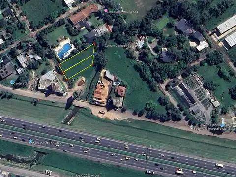 las calendulas y las  madreselvas 2500