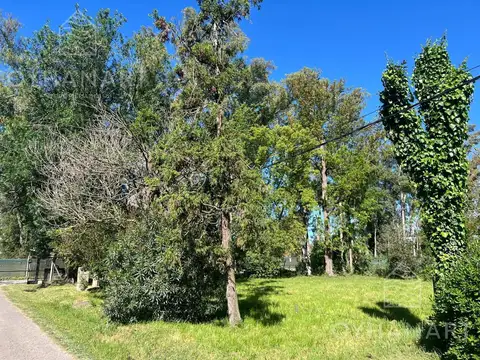 Terreno en Venta en Loma Verde, USD 35.000