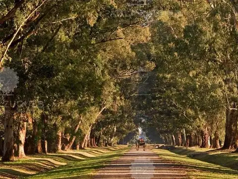 Terreno en Venta en Carlos Spegazzini, USD 78.200