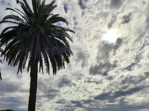 LOTE EXCLUSIVO AL AGUA EN LA ISLA – NORDELTA