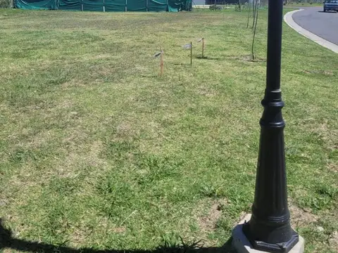 Terreno Lote  en Venta ubicado en Santa Lucia, Pilar del Este, Pilar