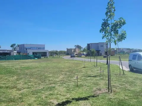 Santa Lucia - Pilar del Este 100