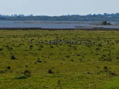 chacra 5has costa laguna