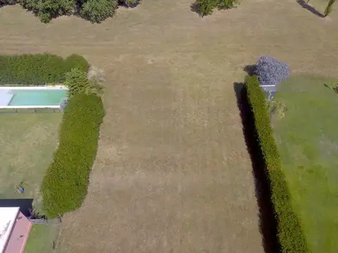 Lote en venta Palenques Manzanares con fondo libre