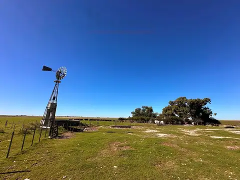 Ruta 35 100