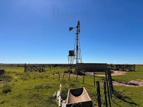Ruta 35 100