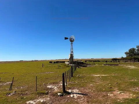 Campo de 947has en venta ubicado en San Germán - Ruta 35