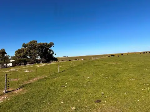 Campo de 947has en venta ubicado en San Germán - Ruta 35