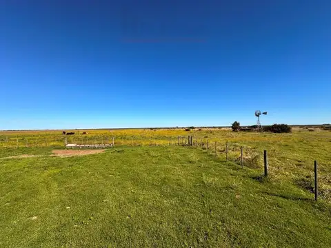 Ruta 35 100