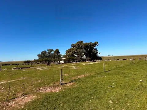 Ruta 35 100