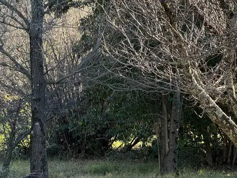 Terreno en La Cumbre con gas natural a dos cuadras del golf