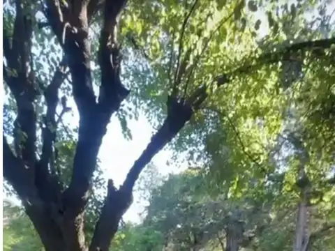 Terreno - Venta - Argentina, Ituzaingo