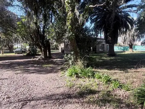 Casa en Alquiler de 3 dormitorios