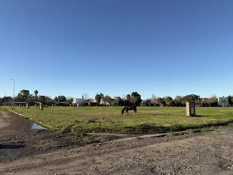Terreno en Venta 20  mts Fondo