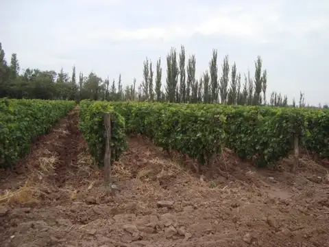 El Cejo , Piso 0