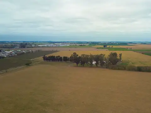 Ruta 18 Km 7,5, S2126 Alvear, Santa Fe 100