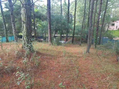 Paraiso entre Petrel y Pelicano 1200