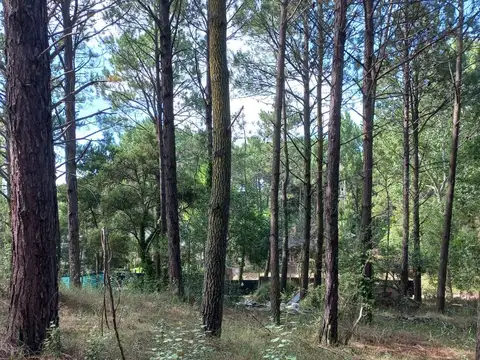 Terreno en Venta en Carilo, USD 95.000