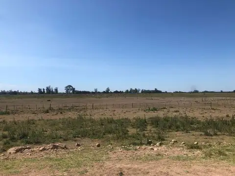Terreno en Venta de 520000,0 m2