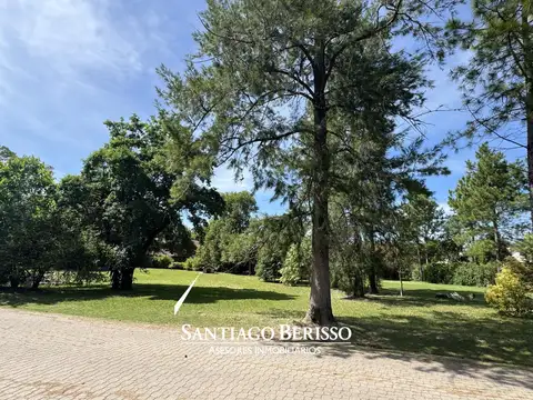 Terreno en Venta 44  mts Fondo