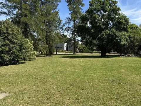 BARRIO LA CODORNIZ - LOS CARDALES