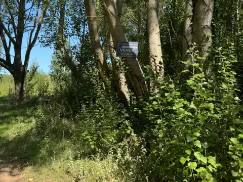 Terreno en Venta 19,50  mts Fondo