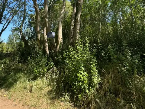 Terreno en Venta en Aguas Verdes, USD 11.500