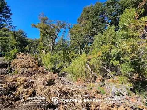 Terreno en Venta en Faldeo Del Bayo, USD 50.000