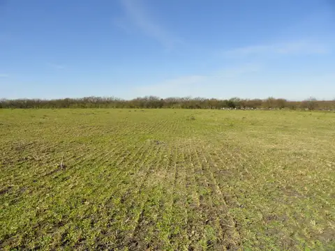Campo en Alquiler de 2.000  ha