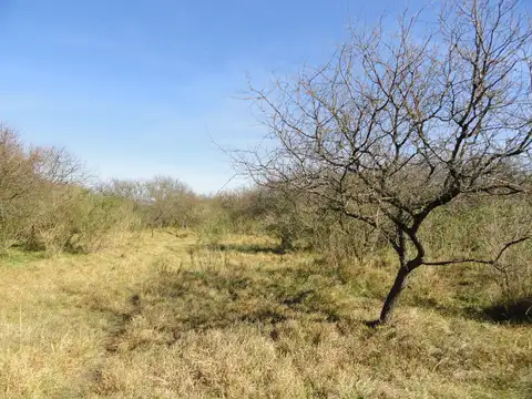 Arrendamiento campo mixto sobre ruta