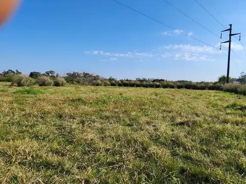 Terreno en Venta - Colonia Hughes Entre Rios