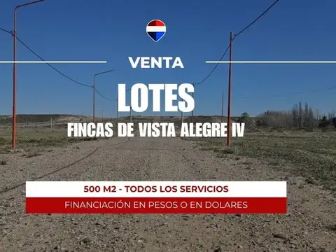 VENTA TERRENO 261 M2 FRENTE RUTA | VISTA ALEGRE