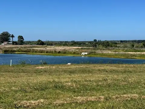 Terreno en venta de 1000m2 ubicado en Cavas de la Tahona