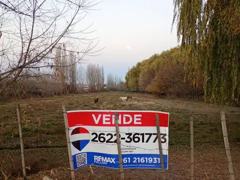Terreno en Venta en Tupungato, USD 130.000