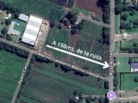 Marino Gabbarini 2100, Piso 0